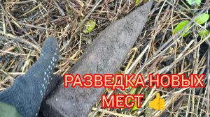 НЕ ПЛОХОЙ РЕЗУЛЬТАТ 👍