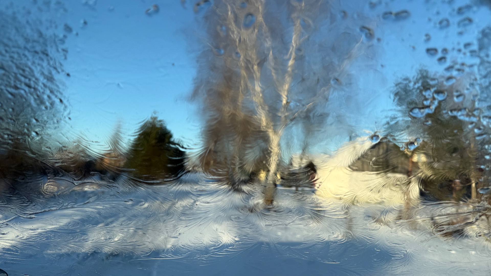 🎄🎄🎄ПРЕДНОВОГОДНИЕ ХЛОПОТЫ/ЯБЛОЧНО-ТВОРОЖНАЯ ЗАПЕКАНКА 👍/жизнь здесь и сейчас ❤️❤️❤️