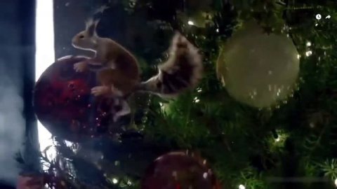 Новый Год -За Селедкой.