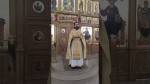 Наставление апостола для богатых. О лжеименном знании. Проповедь о. Вячеслава. 11.12.25