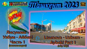 Лисунова - Узбум - Aйбек! Часть 1 (автопоездка) | Lisunova - Uzbum - Aybek! Part 1 (city trip)