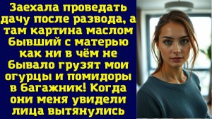 Истории из жизни|Заехала проведать дачу|Аудио рассказы|Аудиокниги слушать онлайн|Жизненные истории