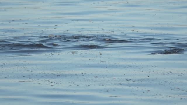 бп отзыв Александра Лещова