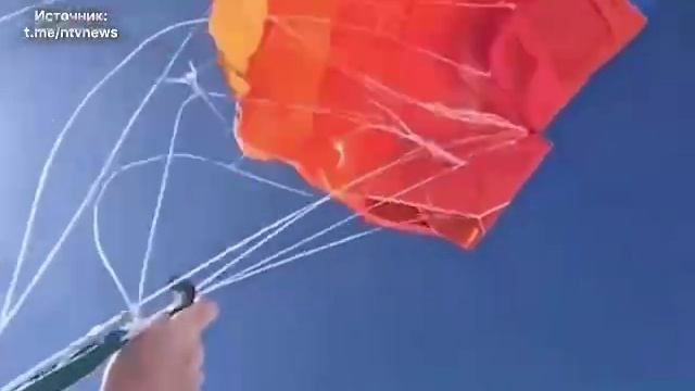 Жесть какая.