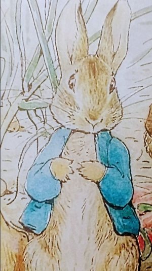 КРОЛИК  ПИТЕР. СКАЗКА