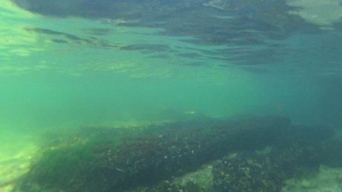 3. Отпуск 2020. КРЫМ. Секретный фарватер в таинственную бухту.