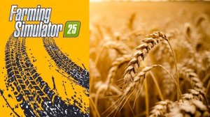Уборочная Овса / FS25 Карта ЗарЯ ч.7/ Farming Simulator 25 🐄🌻🌽