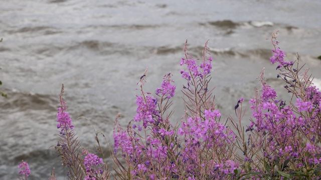 Северный Байкал 2025 Нижнеангарск