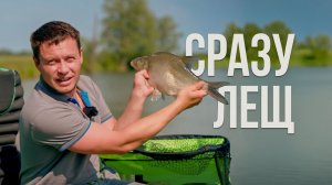 Поймал леща и все пошло не по плану. Фидерная рыбалка на реке вначале лета