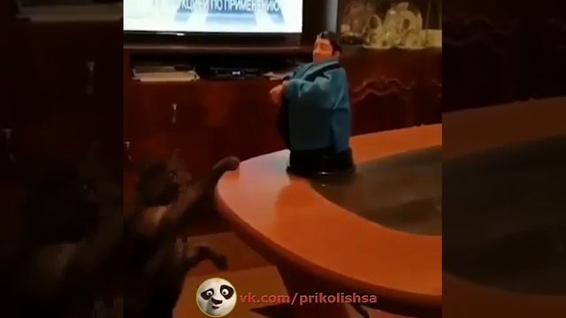 Показала сразу свои таланты.