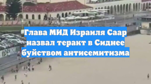 Глава МИД Израиля Саар назвал теракт в Сиднее буйством антисемитизма