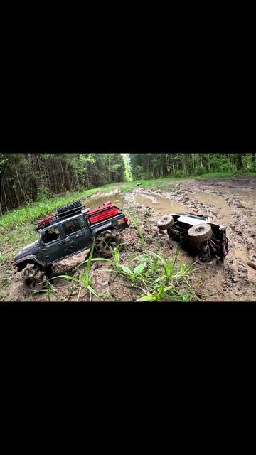 Друг в беде не бросит! 👍 смотреть онлайн