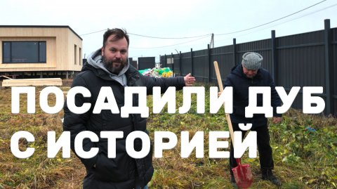 Посадил ДУБ из детства. Символичный саженец из Ижевска на моем участке высадили с папой!