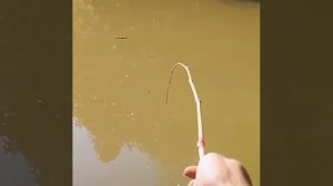 Видео от За Трофеем: Охота и Рыбалка