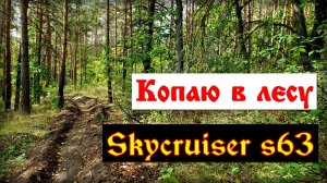 Вышел на поиски сокровищ в лесу и немного покопал на пляже.