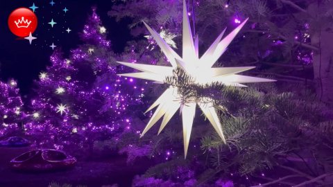 Парк Галицкого новогодняя Атмосфера праздника 2026🐴