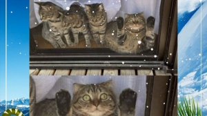 Анекдоты, юмор, статусы, приколы 😁