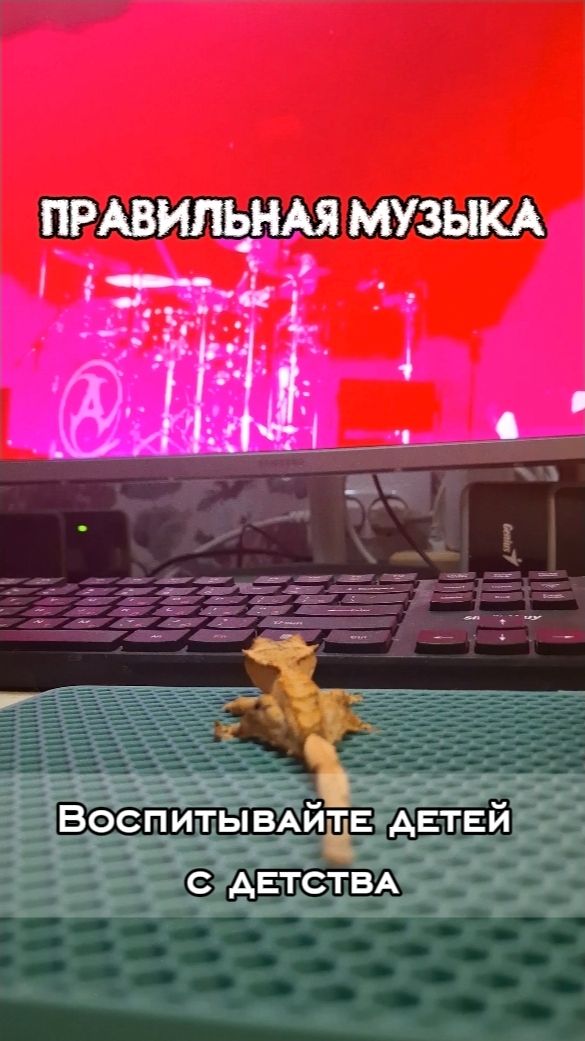 ПРАВИЛЬНАЯ МУЗЫКА