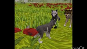 Мини фильм Wildcraft "Дух" 2 серия