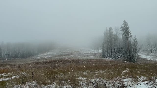 Белокуриха туманная-24_День 2