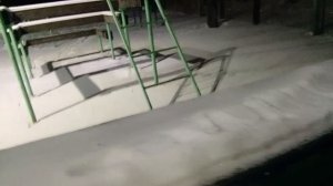 прогулка с реборном