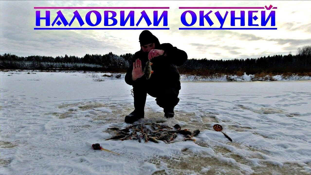 Первый лёд. Надолбили окуней. Отчёт о рыбалке смотреть онлайн