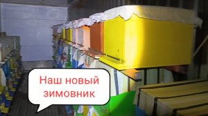 Наш новый зимовник для,пчёл.Обзор зимовки в новом зимовнике контейнере.Первая зимовка.