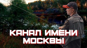 Осенью со спиннингом на канале имени Москвы. Ловля с берега
