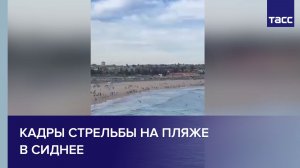 Кадры стрельбы на пляже в Сиднее
