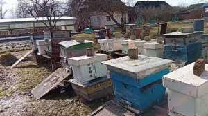 Первый облет и первые проблемы