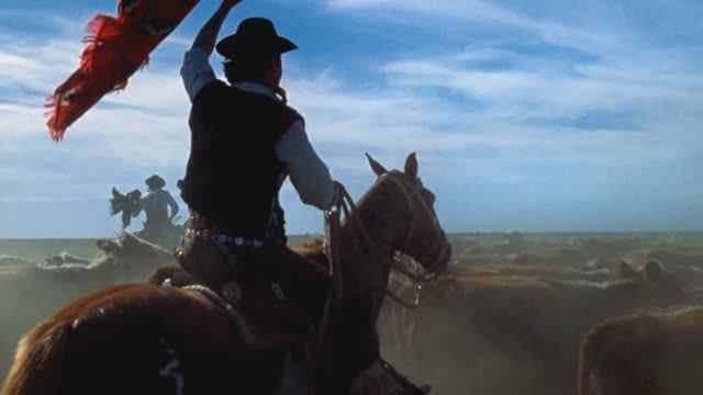 Owain Phyfe - El Arriero Va