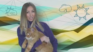 «Новое утро»: 15 декабря 2025 года