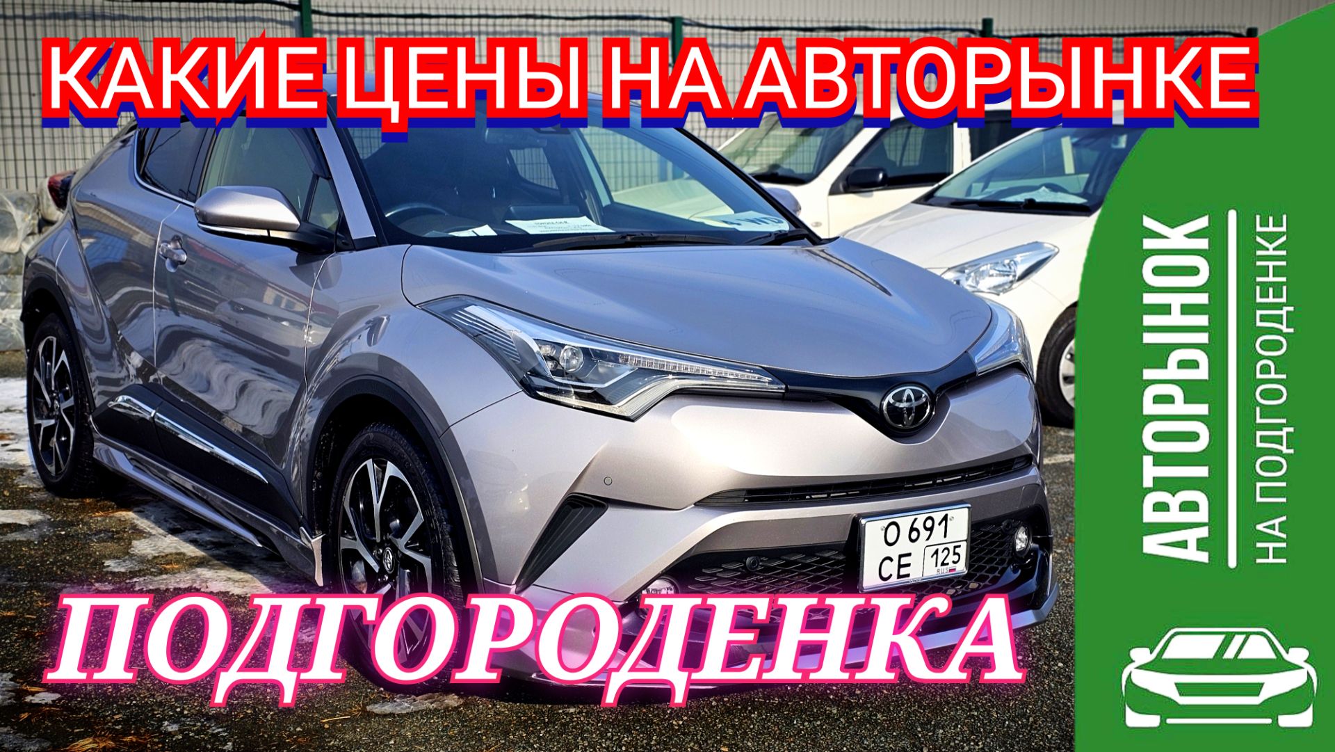 КАКИЕ ЦЕНЫ НА АВТОРЫНКЕ ПОДГОРОДЕНКА ?