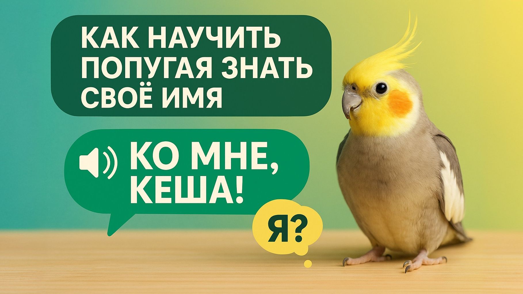 КАК НАУЧИТЬ ПОПУГАЯ ЗНАТЬ СВОЁ ИМЯ