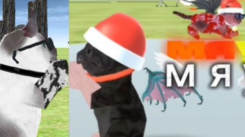 коллаб с симой