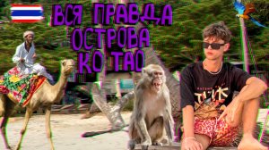 Тропический шок! Вот какой он, настоящий Ко Тао