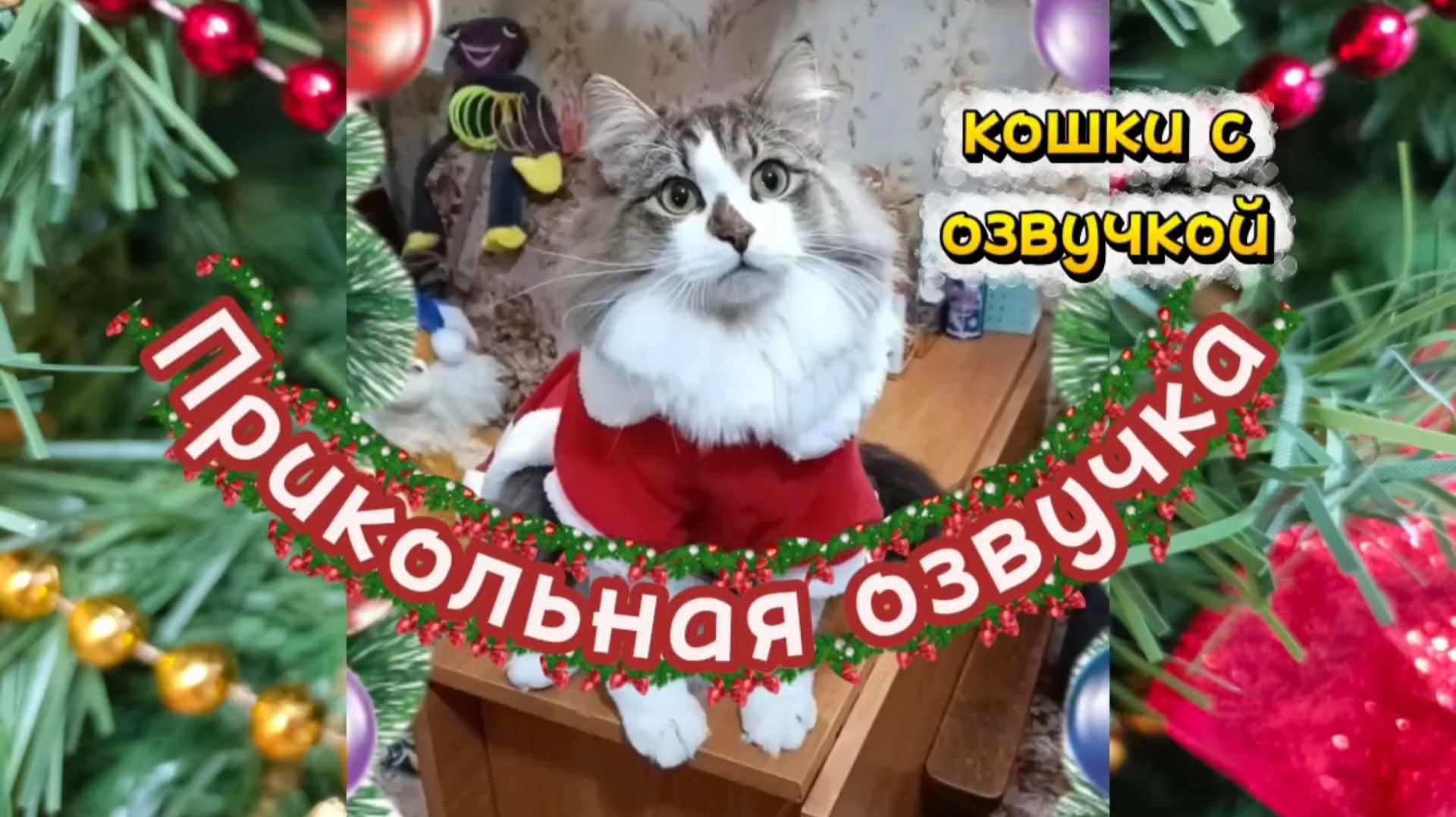 Кошки с озвучкой. Новогоднее настроение!