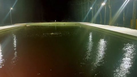 Обстановка на лесном водоёме: