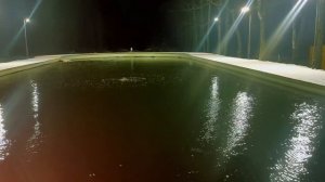 Обстановка на лесном водоёме: