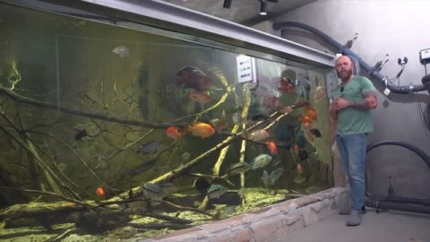 Германия 🇩🇪 огромный аквариум. Время кормления рыб-монстров.