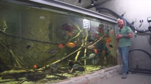 Германия 🇩🇪 огромный аквариум. Время кормления рыб-монстров.