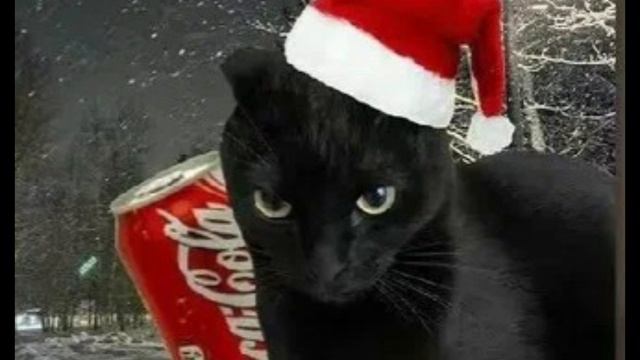 Котики мяу-мяу