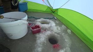 Дикий жор корюшки! Сахалинская рыбалка