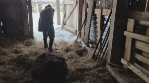 Олег работает в стайке/ну я завелась/ копчу гуся/