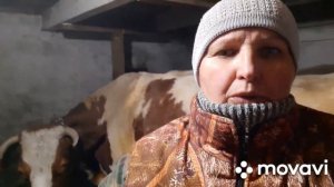 Всего по немного...Жизнь в Селе