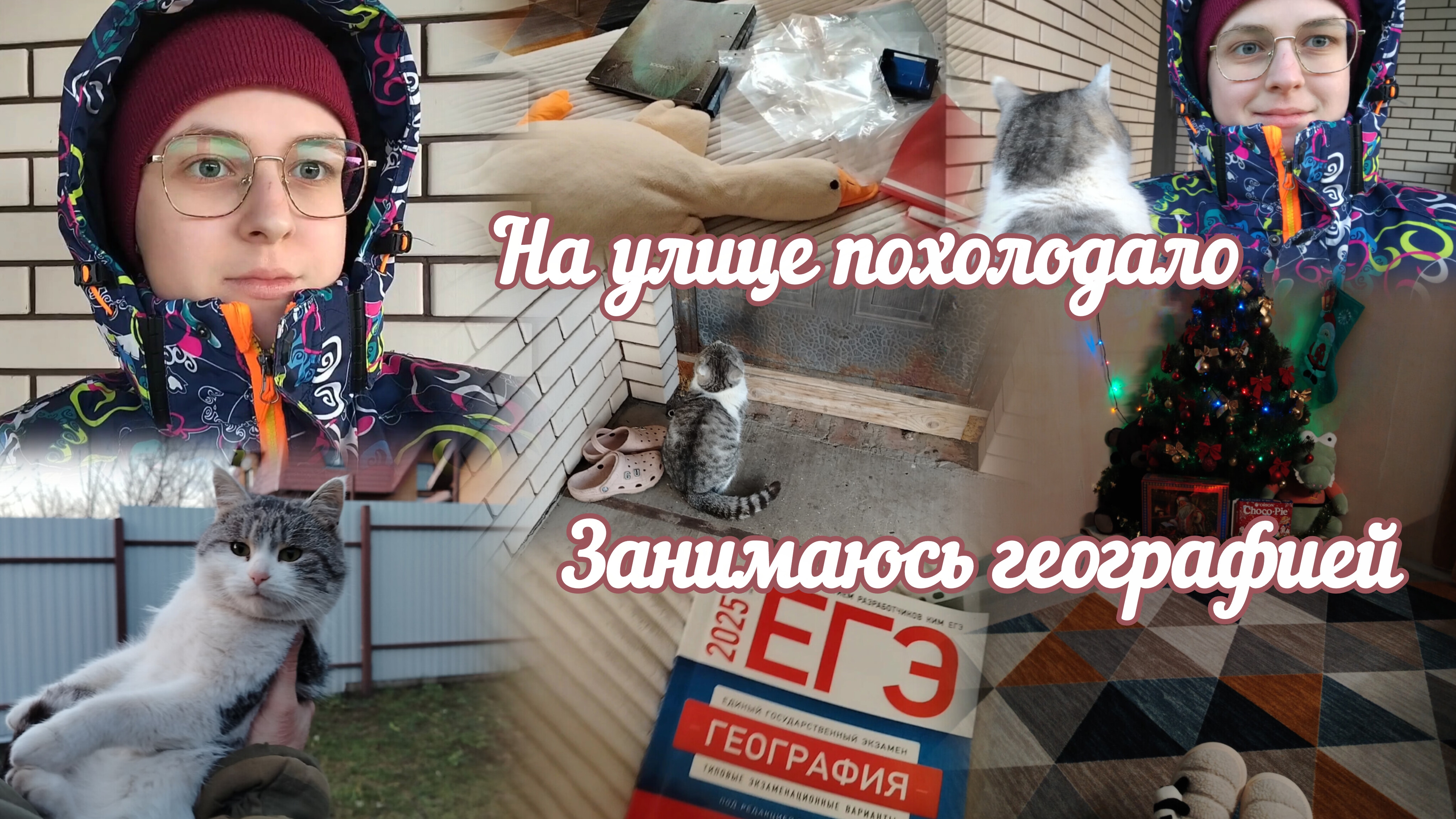 VLOG Занимаюсь географией🌏 На улице похолодало🥶