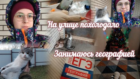 VLOG Занимаюсь географией🌏 На улице похолодало🥶