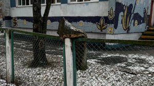 Бардак в паспортном столе Электростали 🤔🤫😵💫.