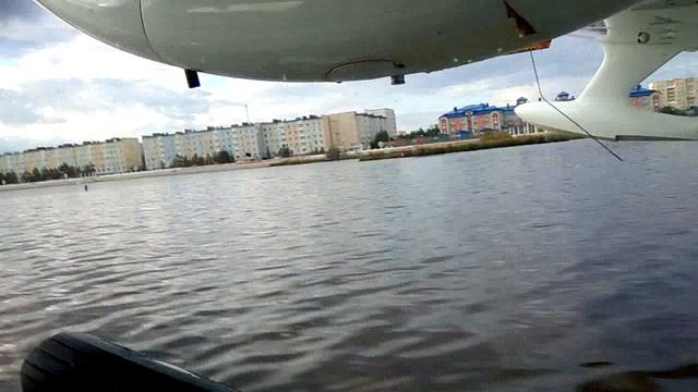 6_Посадка Янтарное, август 2020