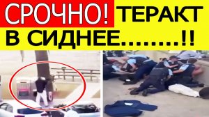 Теракт в Австралии : стрельба на пляже Бонди в Сиднее — десятки погибших и раненых